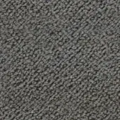 Dense gray granular texture composed of tightly packed rounded elements, exhibiting subtle shadowing and a slightly uneven, rough surface.